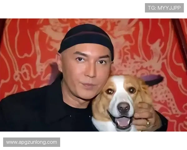 尊龙用现金娱乐一下下载旧：尊龙娱乐旧版下载安装指南，开启全新现金娱乐体验