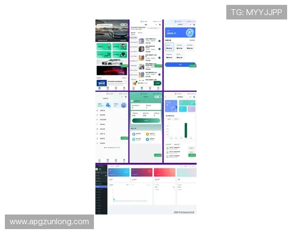 尊龙平台软件的用户界面设计与操作体验优化