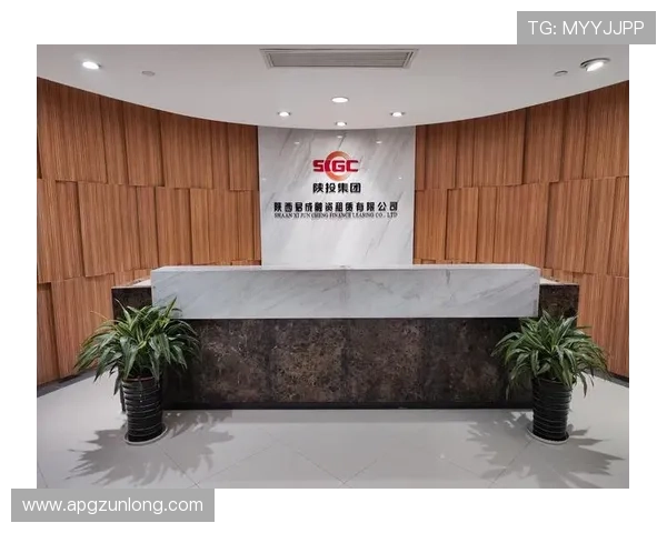 尊龙网址集团官网查询方法详解帮助用户快速找到官方入口