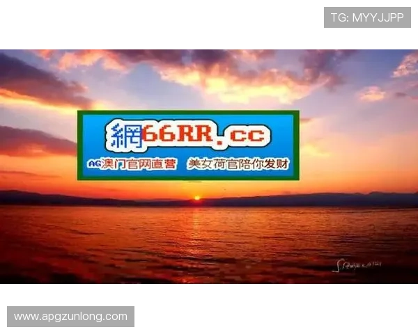 深入分析尊龙凯时正规官网的注册流程与注意事项