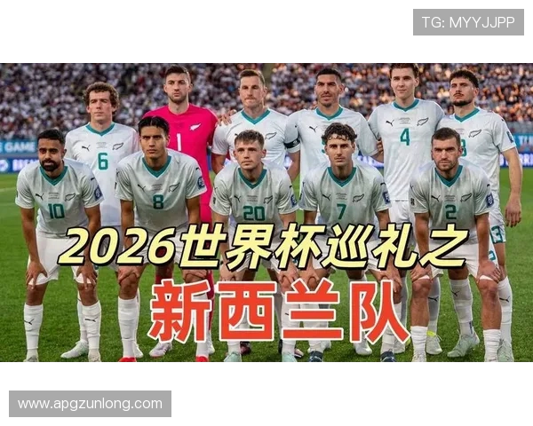 世界杯新西兰埃及比赛壁纸高清图片合集，完美展现两队精彩对决场面